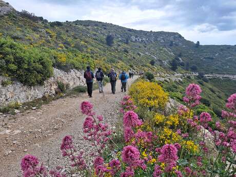 Le vallon de la Figuière - Journée