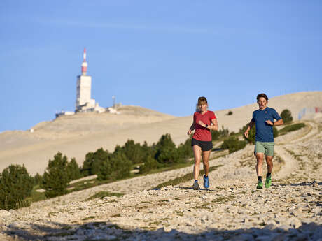 TV14 - Grand Ventoux