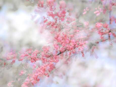 Exposition Maja Kerin août 2026