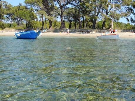 Plage de Pellegrin