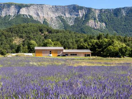 Lavanderaie des Hautes Baronnies