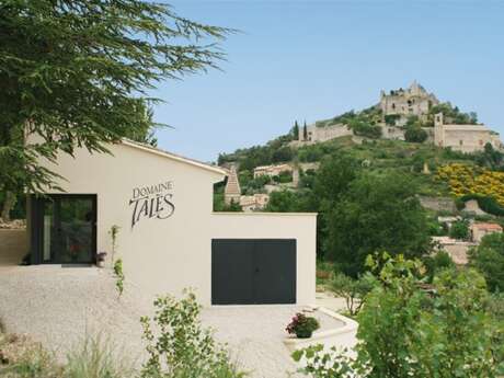 Visite du vignoble et de la cave - Domaine Talès