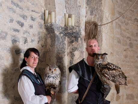 Fauconnerie à la Forteresse de Mornas