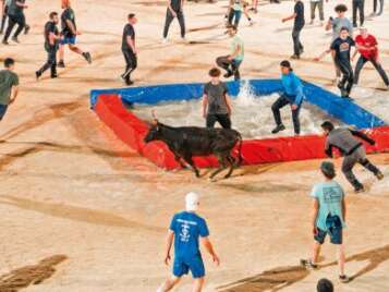 Feria - Toro-piscine «Interbandes»