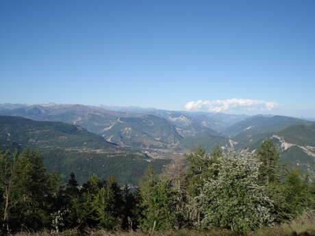 Le sommet du Roncheret