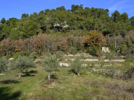 NANS-LES-PINS - De l'Huveaune à Mantelette