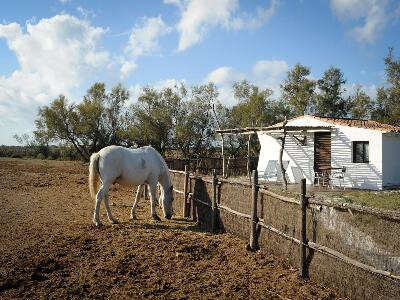 Des Saintes-Maries-de-la-Mer à Arles