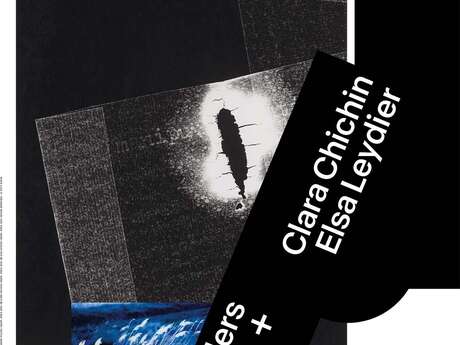 Kwame Brathwaite - Black is Beautiful