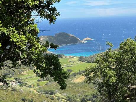 Meeting point: Flora and vegetation of Cap Lardier