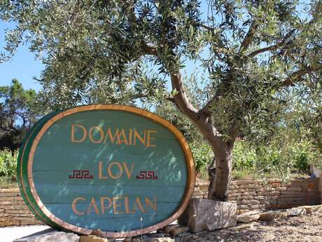 Domaine Lou Capelan