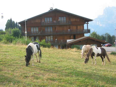 Chalet Gabriel