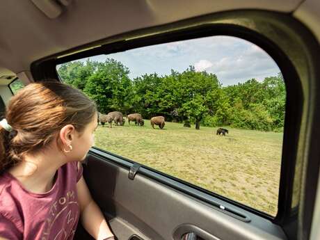 Peaugres Safari Park