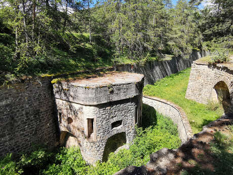 Forts et forêt de Tournoux