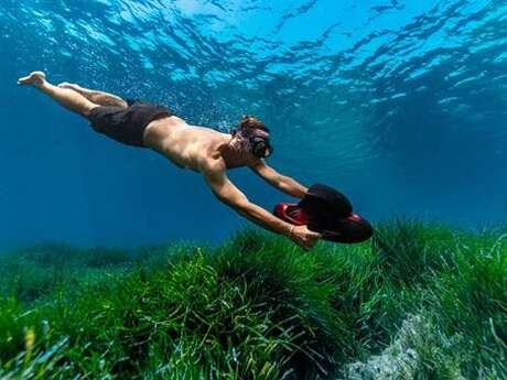 Undersea Experience