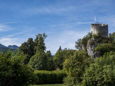 Climbs to the tower of the Counts of Geneva