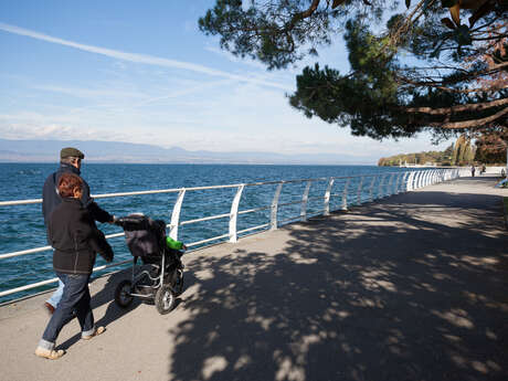 Circuit pédestre de Thonon-les-Bains : Sur les bords du Léman