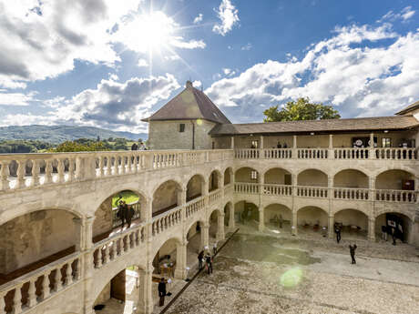 Visit the chateau - Guided Tour