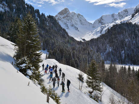 Discovering wildlife on snowshoes