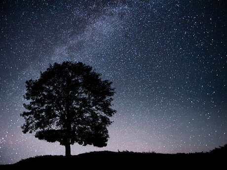 La Nuit des Étoiles à la Maison de la Châtaigne