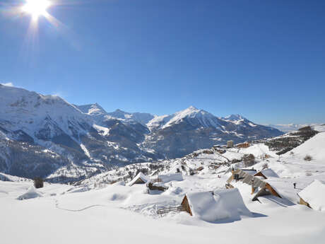 Le Forest des Estaris