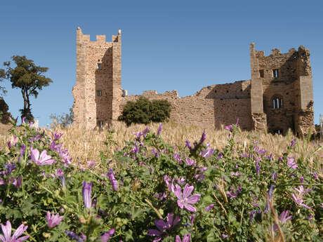 Remparts et vestiges du château