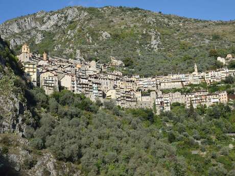 Meublé de tourisme  "Au temps qu'on sème"