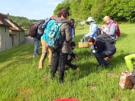 Balade découverte sur les fruits sauvages d'automne