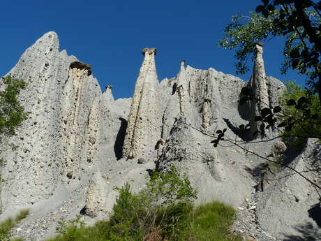 Demoiselles Coiffées de Théus