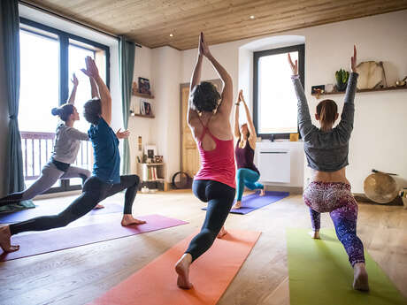 Yoga : hatha yoga et pranayamas