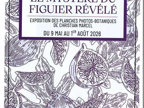 Ausstellung "Das Geheimnis des Feigenbaums enthüllt".