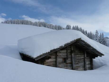 Schneeschuhwanderung "Von Cernix bis Crest Voland"