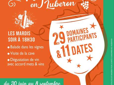 Sunsets Vignerons en Luberon