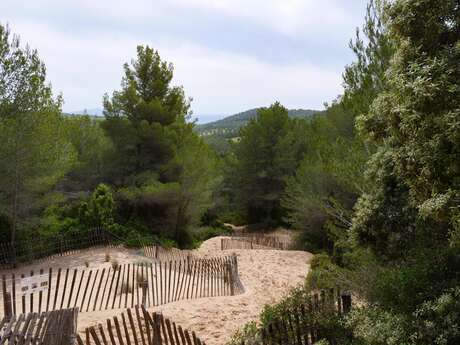 La colline de sable