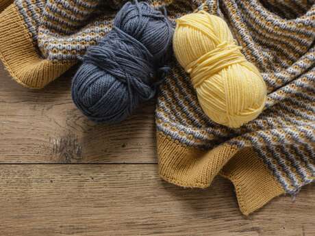 Atelier Tricots à gogo