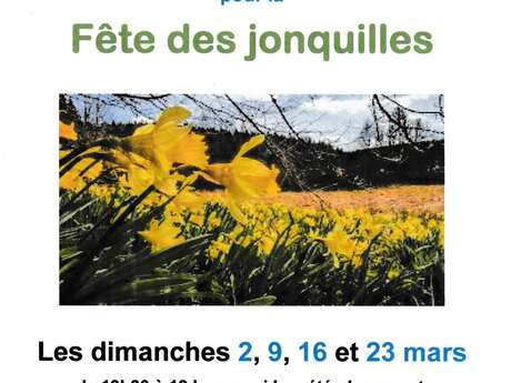 Fête des jonquilles