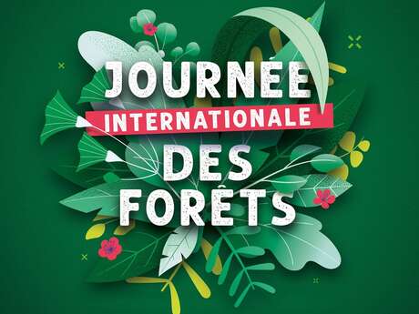 A l'écoute de la forêt - Journée internationale des forêts