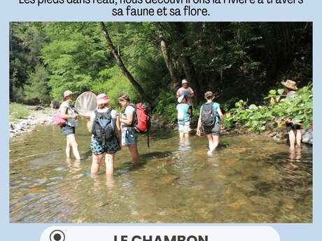 Balade au bord de la Cèze