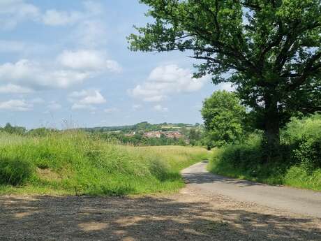 Circuit VTTAE n°9 (rouge) Revers du Revermont