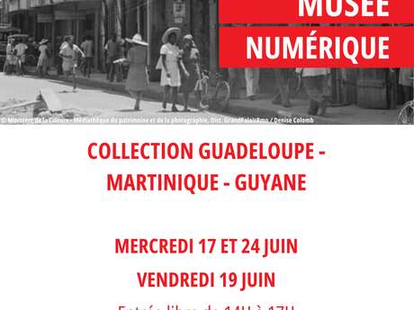 Collection Guadeloupe - Martinique - Guyane