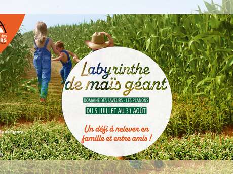 Labyrinthe de maïs