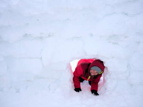 Construire son igloo - Altimood