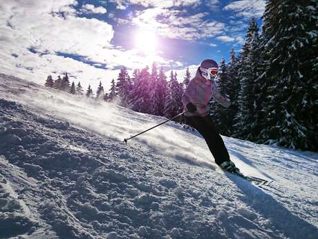 Cours particulier de ski alpin et snowboard
