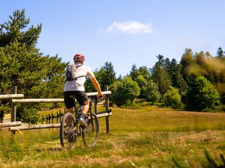 N°61 - Le novice - Espace VTT-FFC Massif des Bois Noirs