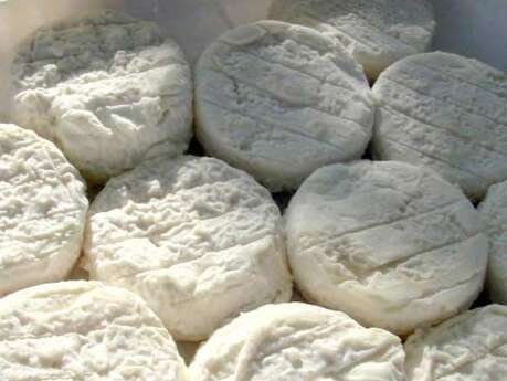 Gaec des Grands Valas