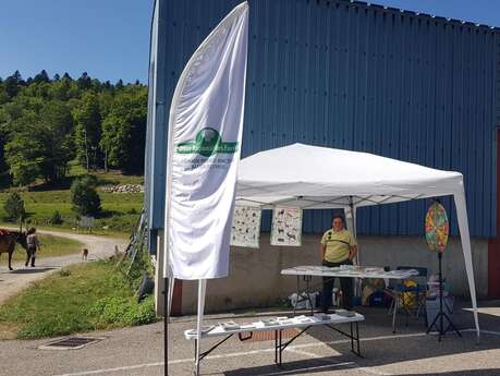Journée forêt en Donezan