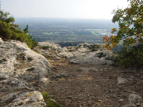 Alpilles : Lamanon - Eyguières : Le défens d'Eyguières