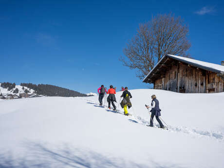 Alpage du Beaufortain
