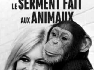 Bardot-Sonderabend und Brigitte-Bardot-Stiftung