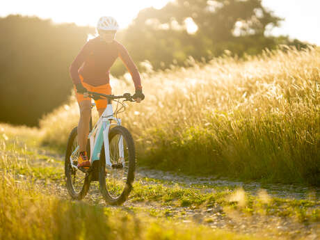 Verhuur van elektrische mountainbikes - Jaime Sport