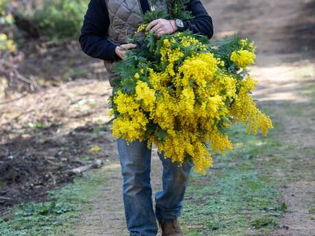 Visite de la passion - bouquets et PARFUM - Chemins parfumés UNESCO